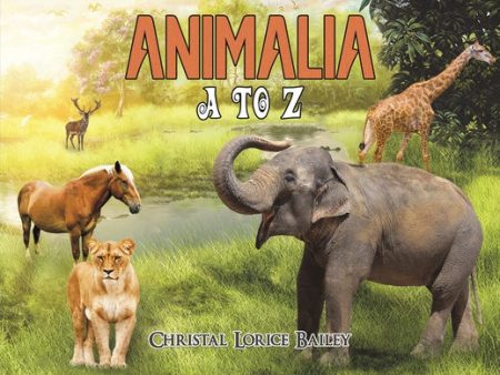 Animalia: A to Z Supply