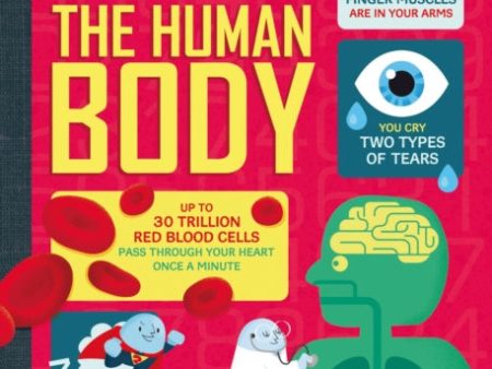 100 Things to Know About the Human Body For Cheap